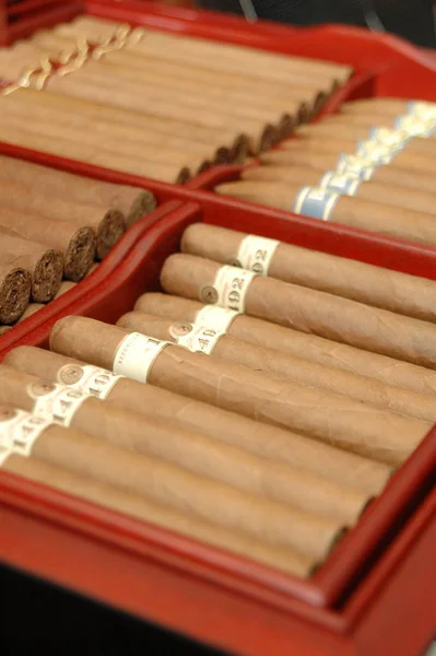 Cigarro Material Tipicamente Tabaco — Fotografia de Stock