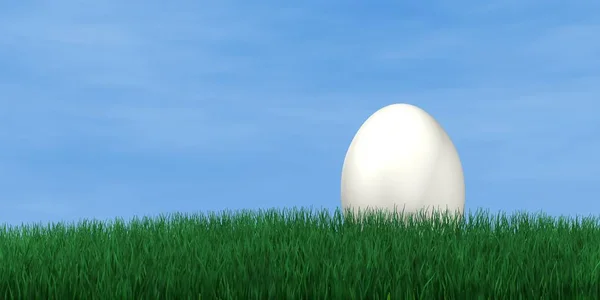 Huevos Pascua Hierba —  Fotos de Stock