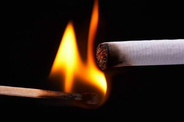 Zigarette Ist Ein Material Typischerweise Tabak — Stockfoto