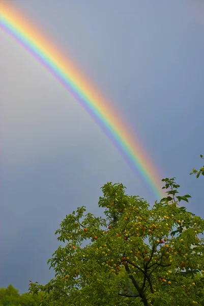 反射による彩色虹 — ストック写真
