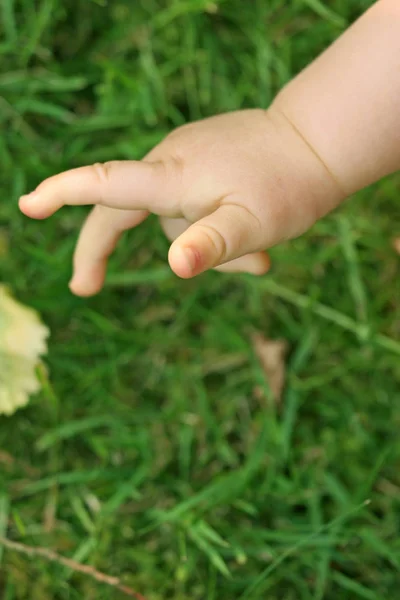 Kind Hand Houden Van Een Baby Jongen Vingers — Stockfoto