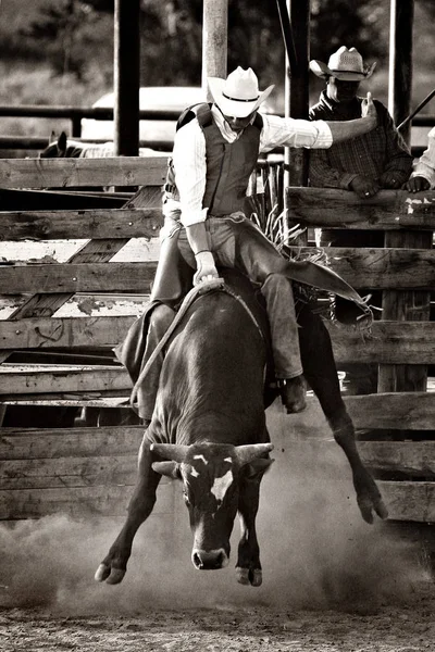 Cowboy Bull Riding Rodeo — Stock Photo, Image