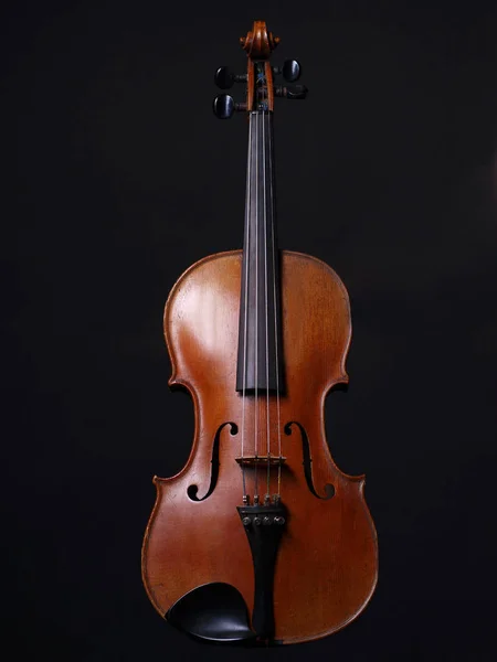 Geige Auf Schwarzem Hintergrund — Stockfoto