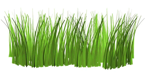 Πράσινο Γρασίδι Απομονωμένο Λευκό Φόντο — Φωτογραφία Αρχείου