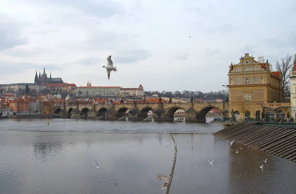 Prague Hradcany Castle Moldau Travel Architecture Concept — Stock Photo, Image