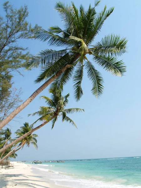 Relaxante Paraíso — Fotografia de Stock