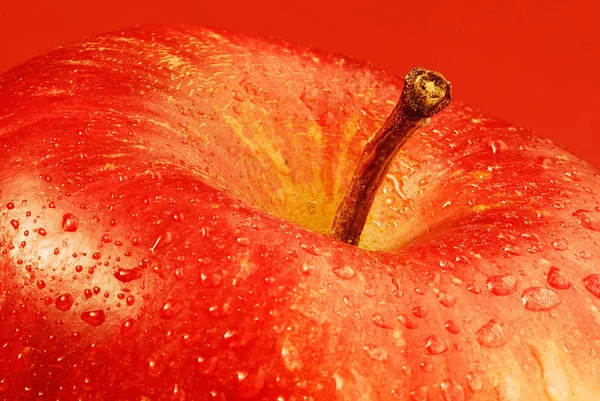 Vegetarische Kost Selektiver Fokus — Stockfoto