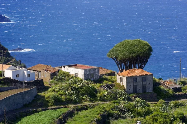 Blick Auf Die Palma Mallorca — Stockfoto