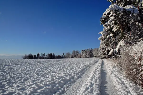 Snötäckt Vinterlandskap — Stockfoto