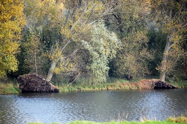 Schöne Aussicht Auf Die Natur — Stockfoto