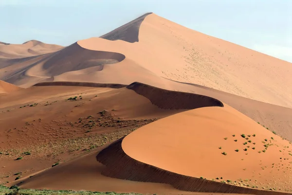 Été Chaud Dans Désert Sablonneux Paysage Dunes — Photo