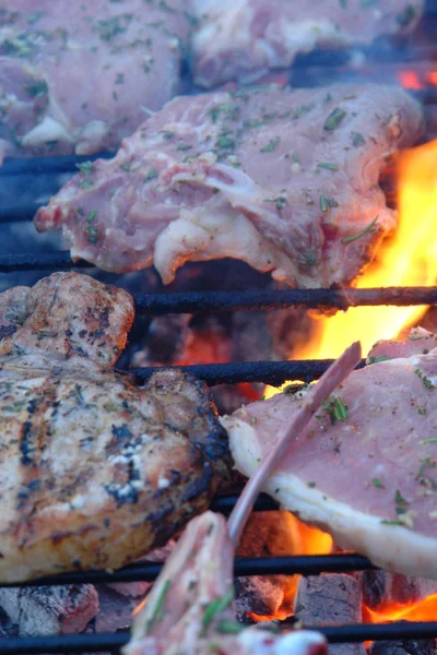 Kött Och Grönsaker Grillen — Stockfoto