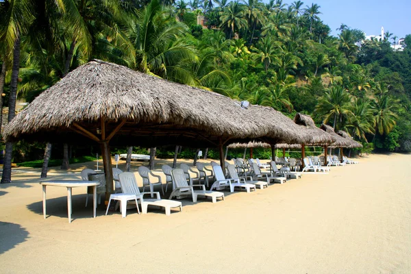 Tropischer Strand Mit Kokospalmen Und Blauem Himmel — Stockfoto