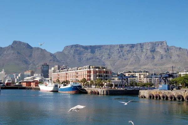 Ciudad Del Cabo Marina Sudáfrica — Foto de Stock