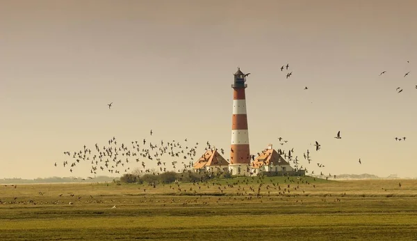 Byggstil Selektivt Fokus — Stockfoto