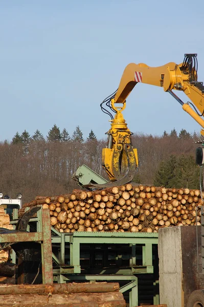 Zásoba Dřeva Sauerlandu — Stock fotografie