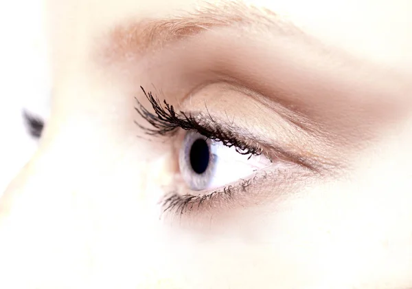 Woman Eye Eyelashes Look — Stock Photo, Image