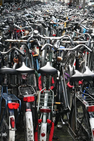 市内に駐輪する自転車の列は — ストック写真