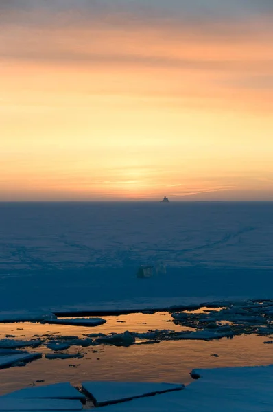 Pôr Sol Gelo Círculo Polar — Fotografia de Stock