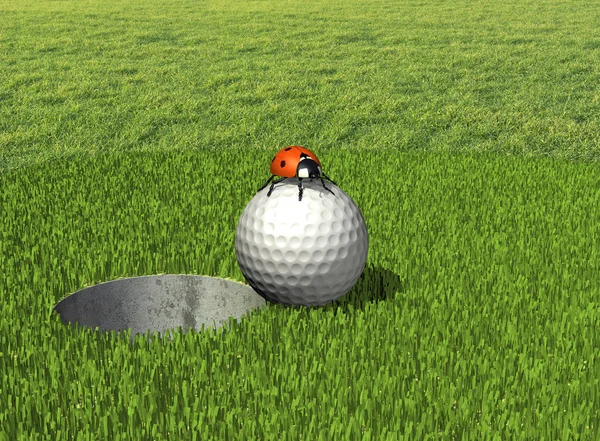 Golfboll Med Nyckelpigor — Stockfoto