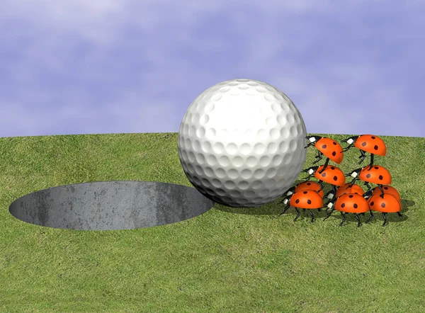 Golfboll Med Nyckelpigor — Stockfoto