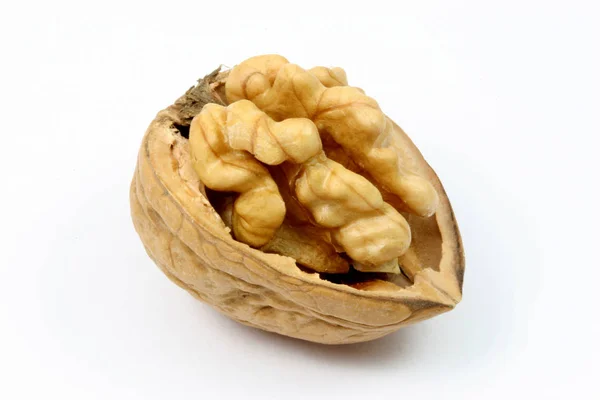 Kacang Mete Diisolasi Pada Latar Belakang Putih — Stok Foto
