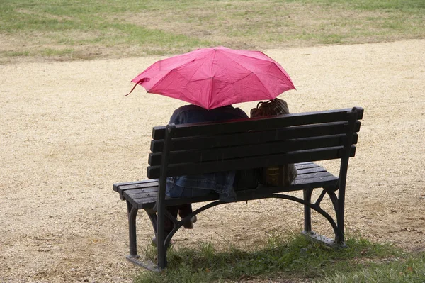 Mujer Con Paraguas Parque — Foto de Stock