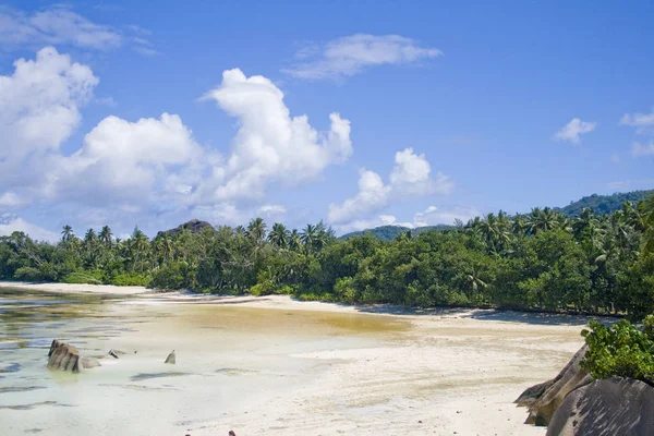 Plage Rêve Sur Digue Marée Basse — Photo