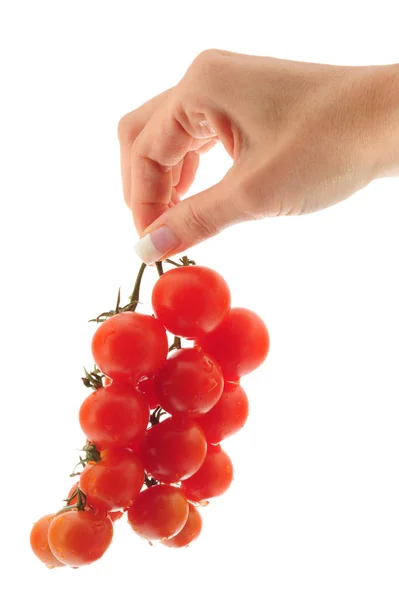 Organiczne Dojrzałe Pomidory Czerwone — Zdjęcie stockowe