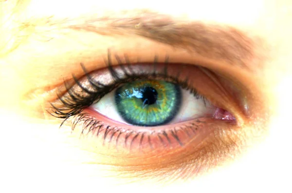 Close Olho Humano Com Olhos Verdes — Fotografia de Stock