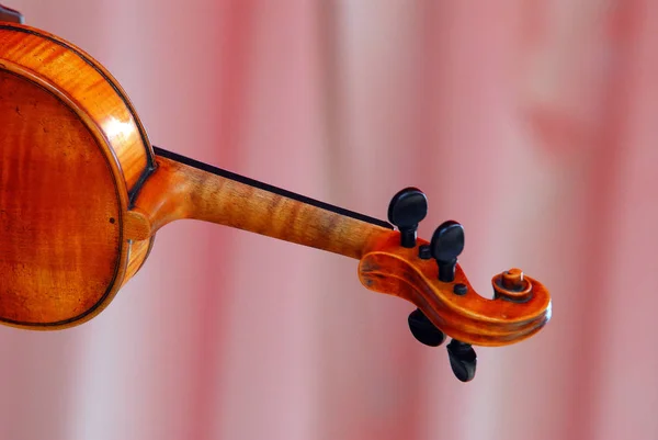 Violin Musical Instrument Close — Stock Photo, Image