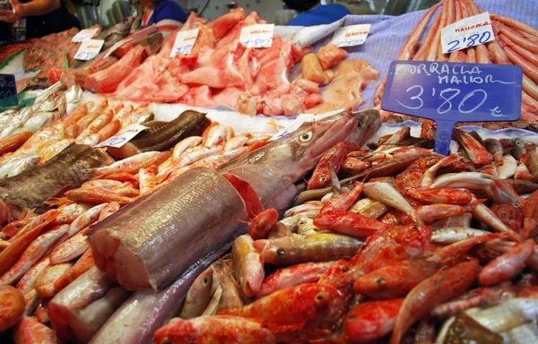 Alimento Mar Mercado Peixes — Fotografia de Stock