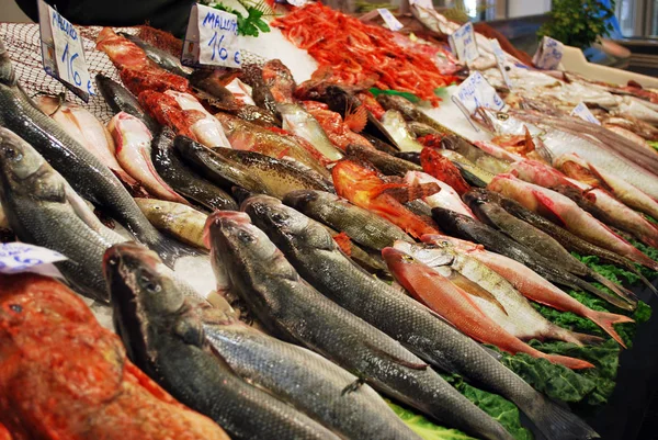 Alimento Mar Mercado Peixes — Fotografia de Stock