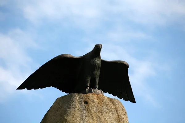 Schilderachtig Uitzicht Prachtige Vogel Natuur — Stockfoto