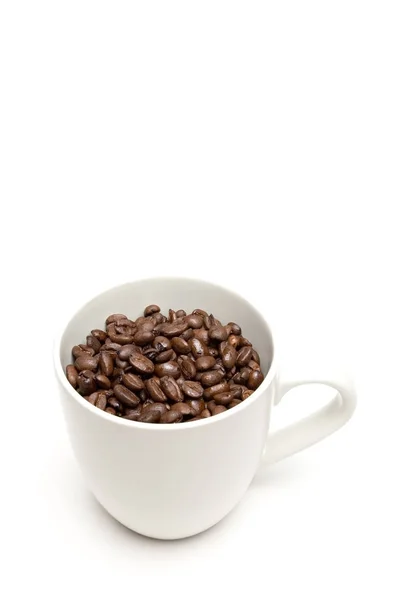 白い背景に豆が隔離されたコーヒーカップ — ストック写真