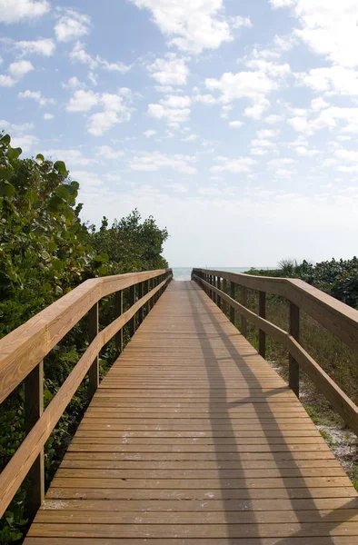 Vue Panoramique Sur Architecture Structure Pont — Photo