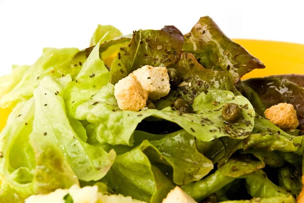 新鲜的绿色生菜沙拉叶 — 图库照片