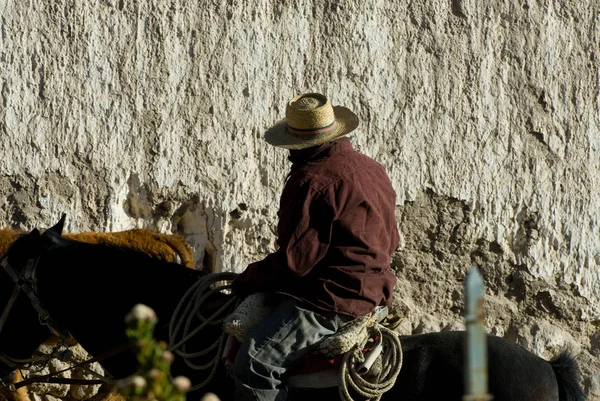 Shepherd Horse Putre Chile Norte — Stock Photo, Image