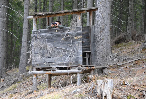 Homme Dans Une Cabane Bois Dans Forêt — Photo