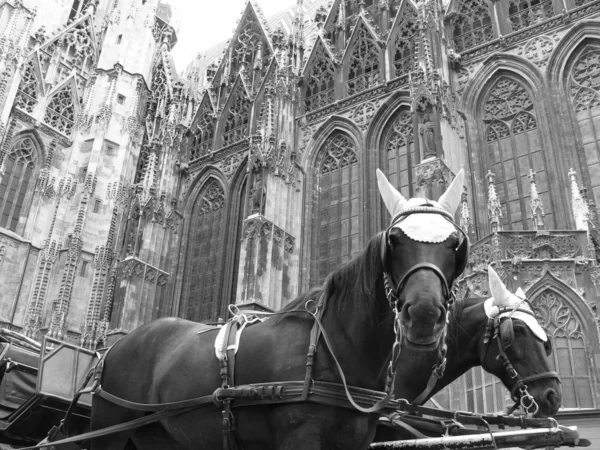 Schilderachtig Uitzicht Prachtige Historische Architectuur — Stockfoto