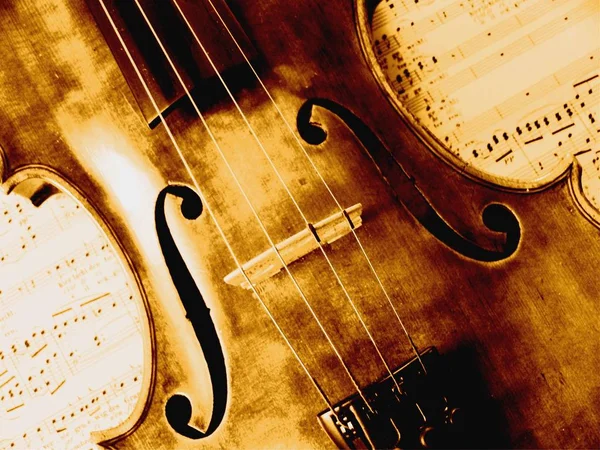 Violin Musikinstrument Närbild — Stockfoto