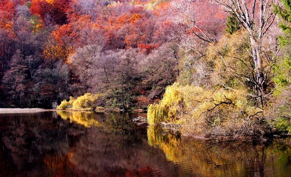 Hermoso Paisaje Naturaleza Fondo —  Fotos de Stock