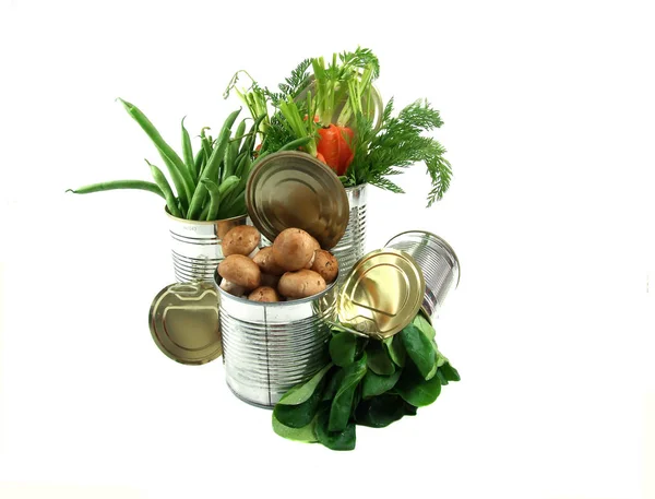 Egészséges Bioélelmiszerek Friss Zöldségek — Stock Fotó