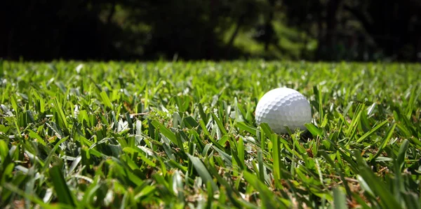 Bola Golfe Não — Fotografia de Stock