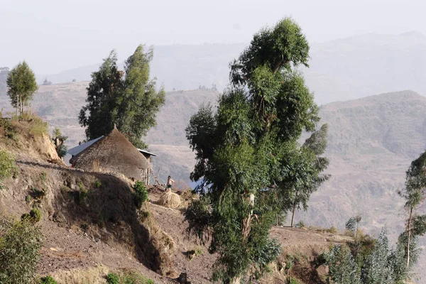 Leben Äthiopischen Hochland — Stockfoto