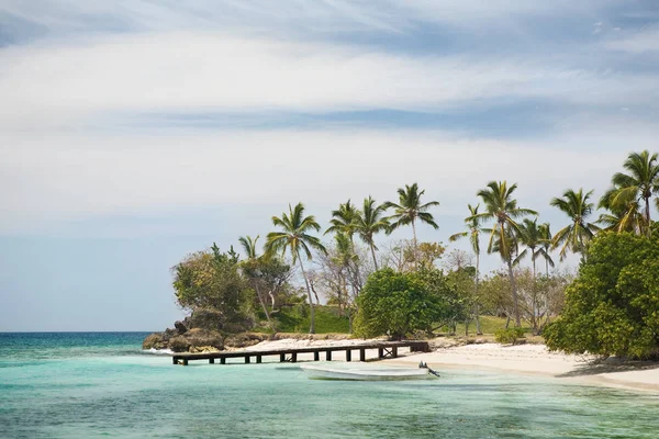 Karibiska Stranden Utsikt Dagen — Stockfoto