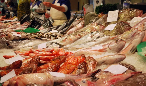 Alimento Mar Mercado Peixes — Fotografia de Stock