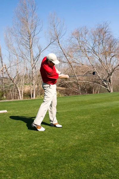 Golf Sahasının Arkasına Vuran Bir Golfçü — Stok fotoğraf