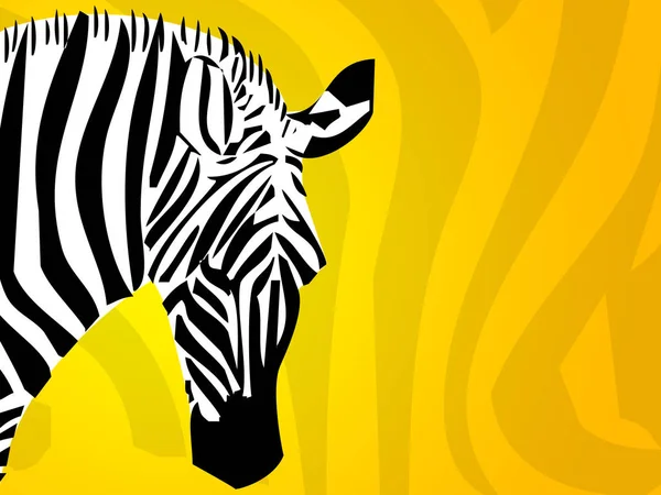 Zebra Striata Animale Mammifero — Foto Stock