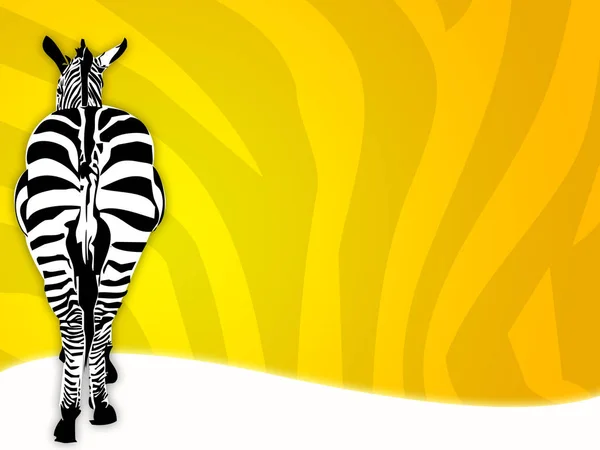 Csíkos Zebra Állat Emlős — Stock Fotó